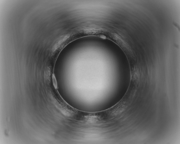 X0000099500448200805151435