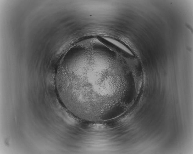 X0000099500449200805151435