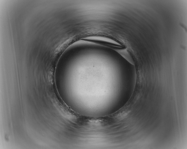 X0000099500450200805151435