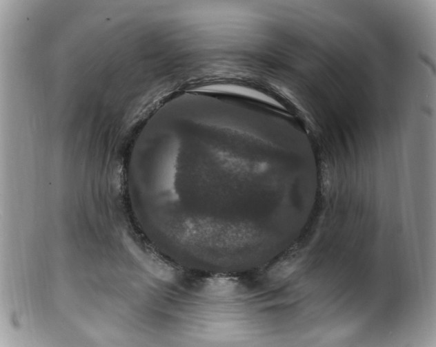 X0000099500451200805151435