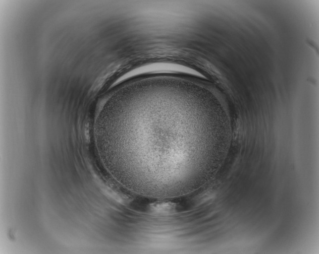X0000099500452200805151435
