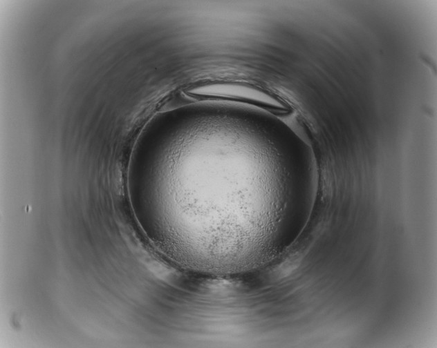X0000099500453200805151435