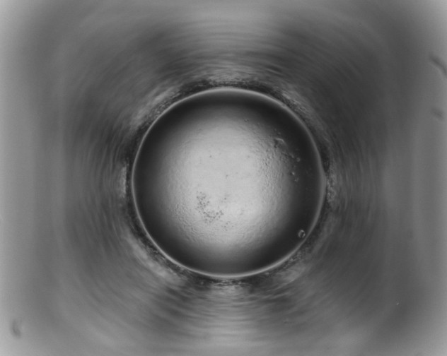 X0000099500454200805151435