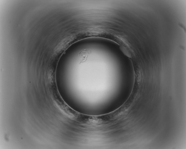 X0000099500455200805151435