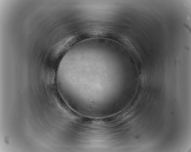 X0000099500458200805151435