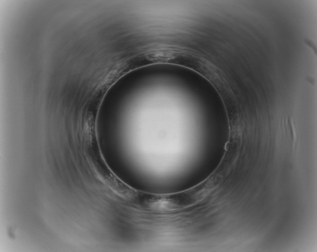 X0000099500460200805151435