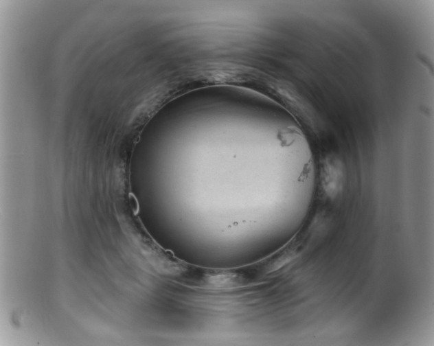 X0000099500461200805151435