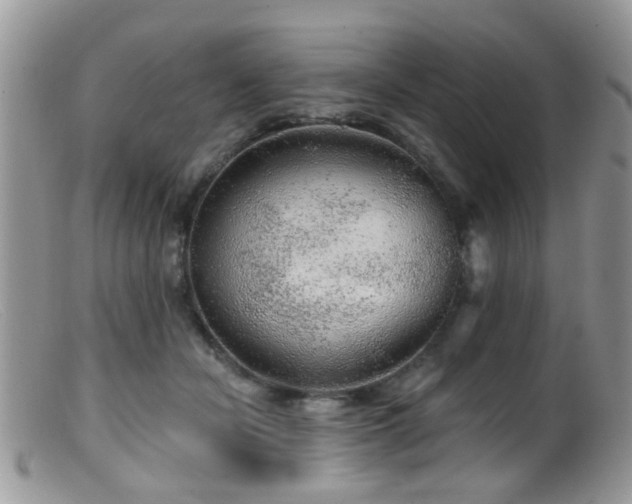 X0000099500462200805151435