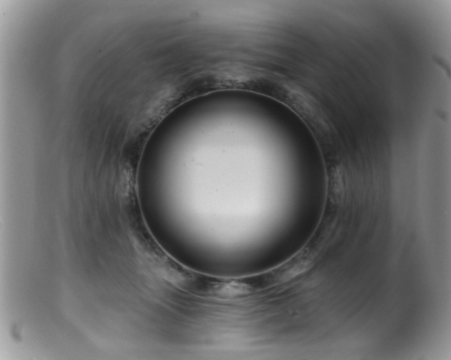 X0000099500463200805151435