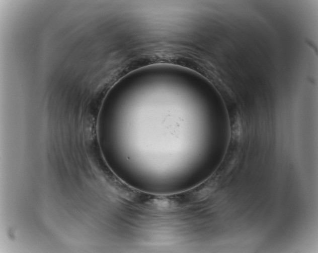 X0000099500464200805151435
