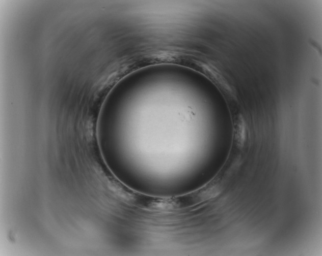 X0000099500466200805151435