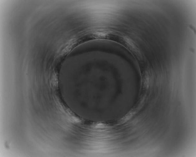 X0000099500467200805151435