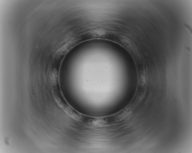 X0000099500468200805151435