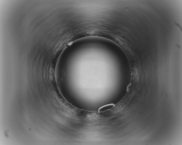 X0000099500470200805151435