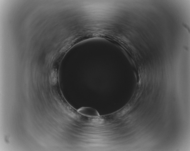 X0000099500471200805151435