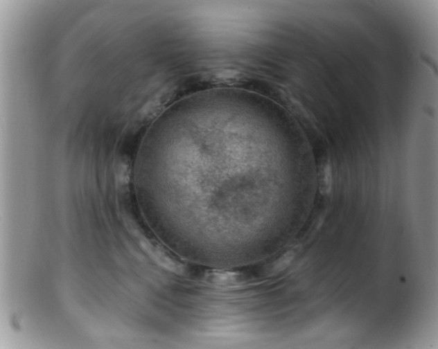 X0000099500472200805151435