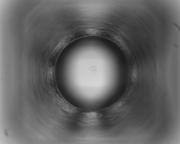 X0000099500473200805151435