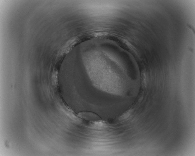 X0000099500475200805151435