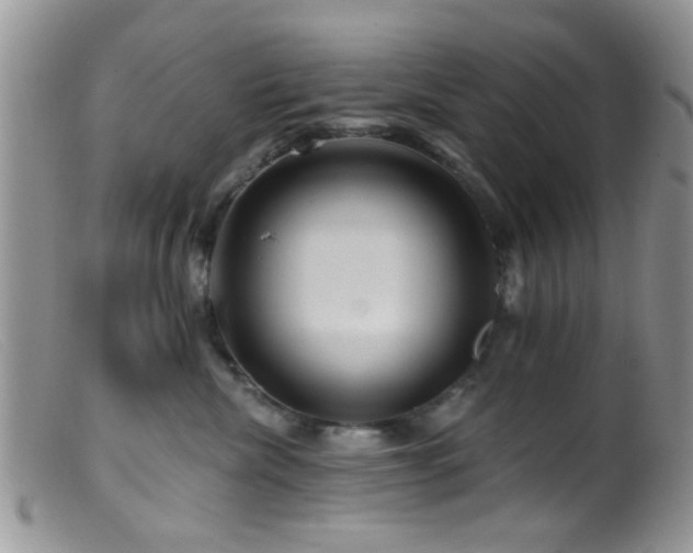 X0000099500476200805151435