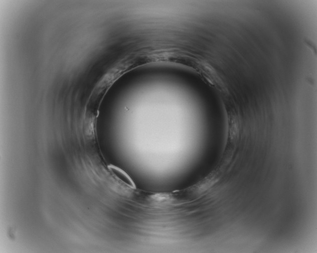 X0000099500477200805151435