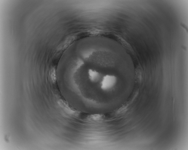 X0000099500479200805151435