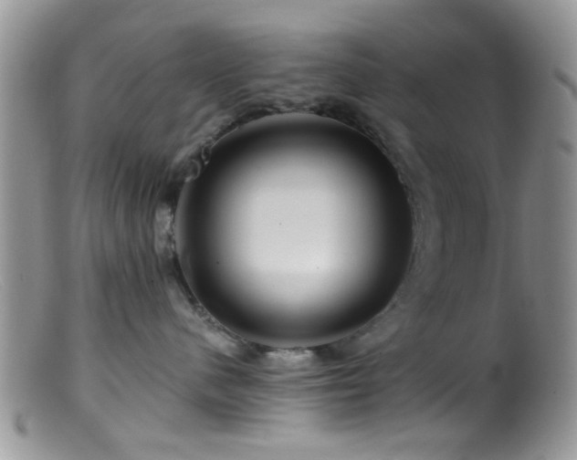 X0000099500480200805151435