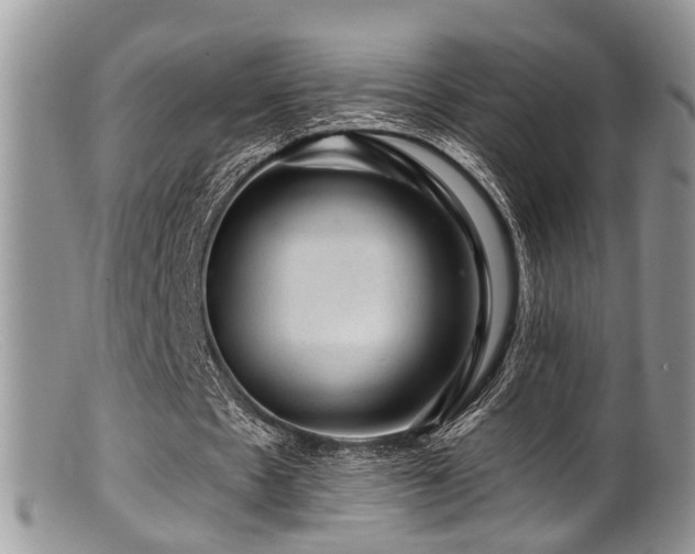 X0000099500481200805151434
