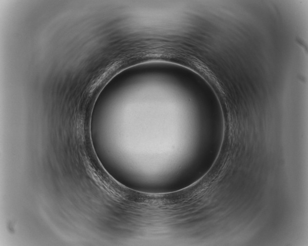 X0000099500482200805151434