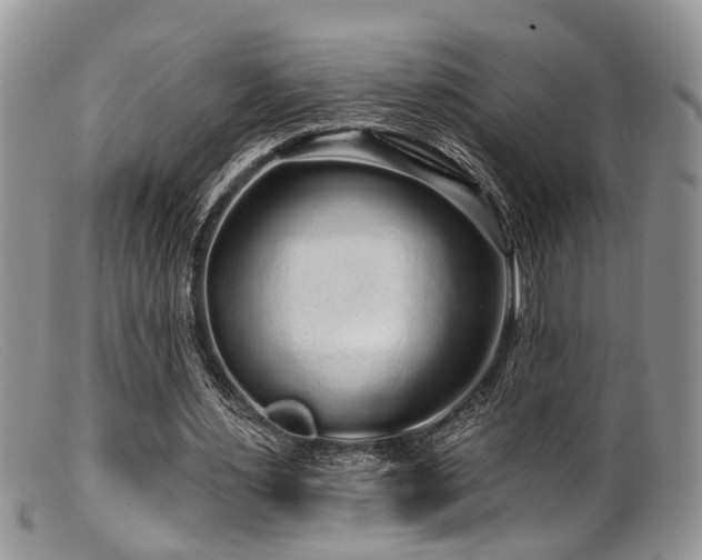X0000099500483200805151434