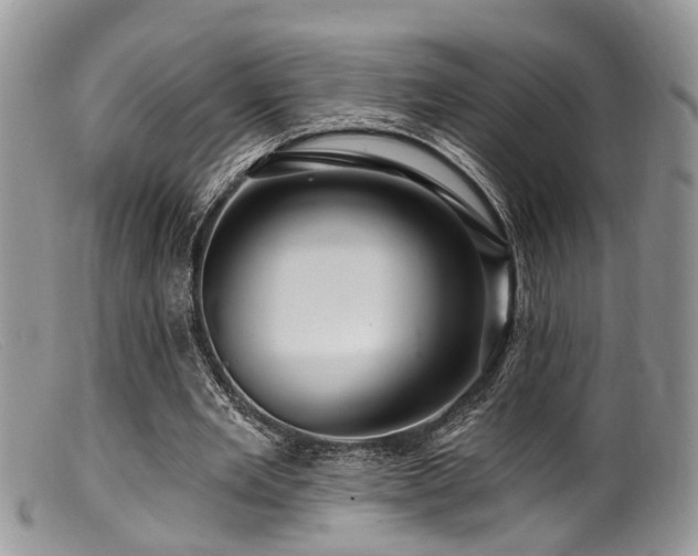 X0000099500485200805151434