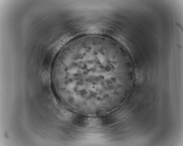 X0000099500487200805151434