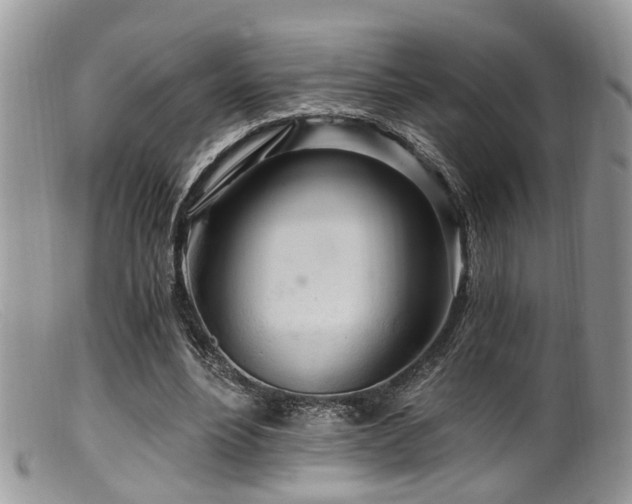X0000099500488200805151434