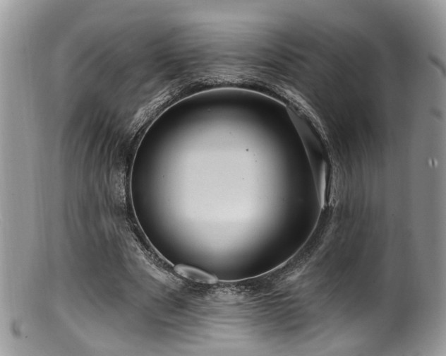 X0000099500489200805151434