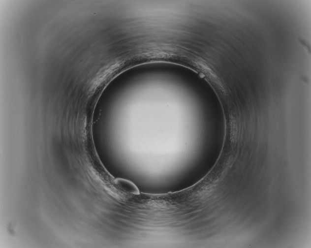 X0000099500490200805151434