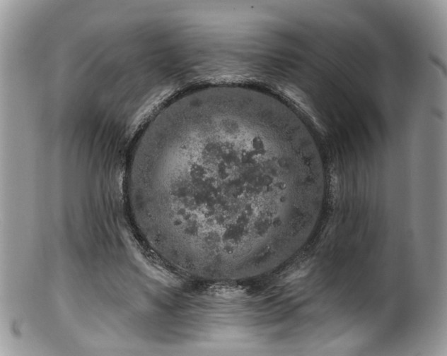 X0000099500491200805151434