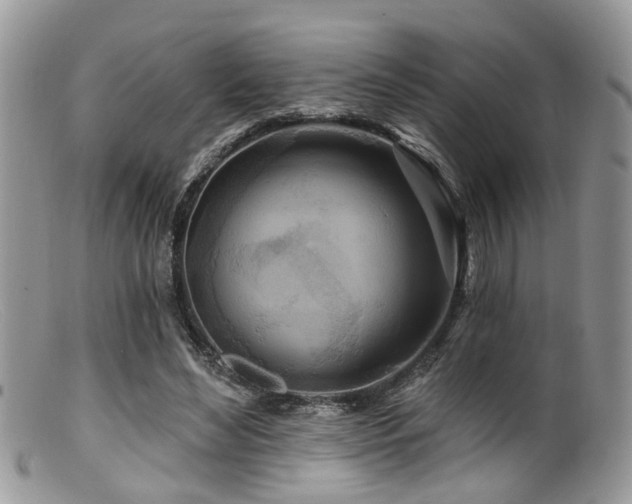 X0000099500492200805151434
