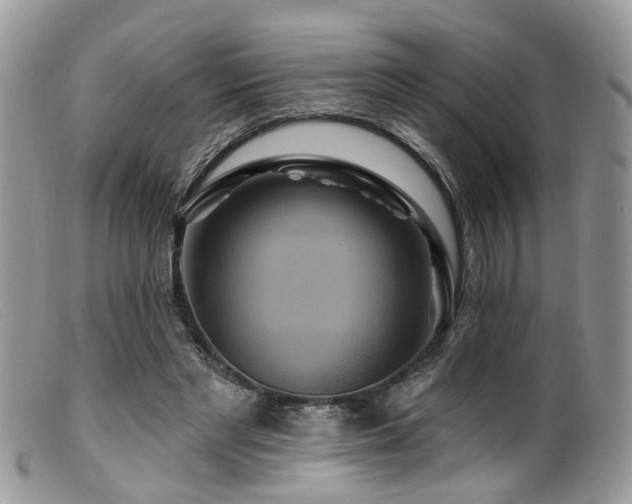 X0000099500493200805151434