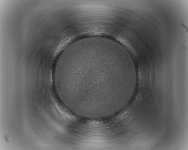 X0000099500494200805151434