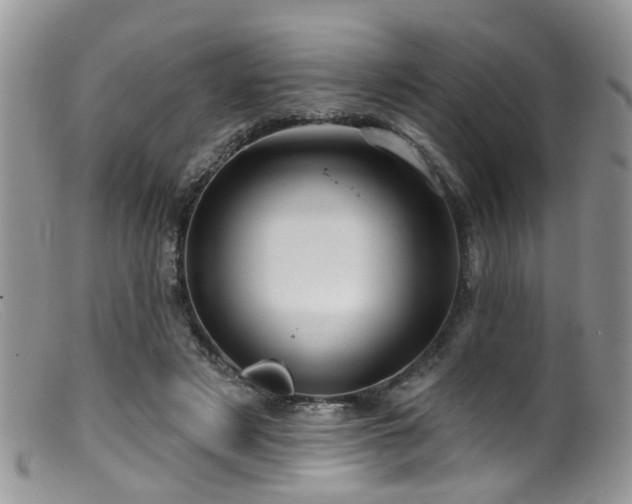 X0000099500497200805151434