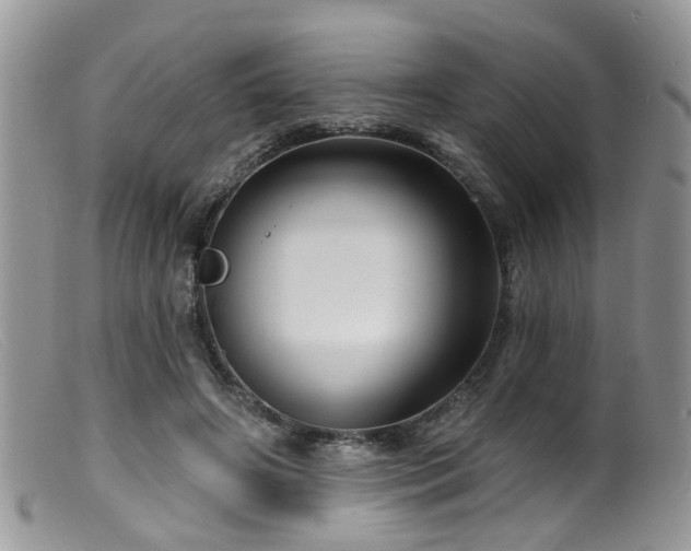 X0000099500498200805151434