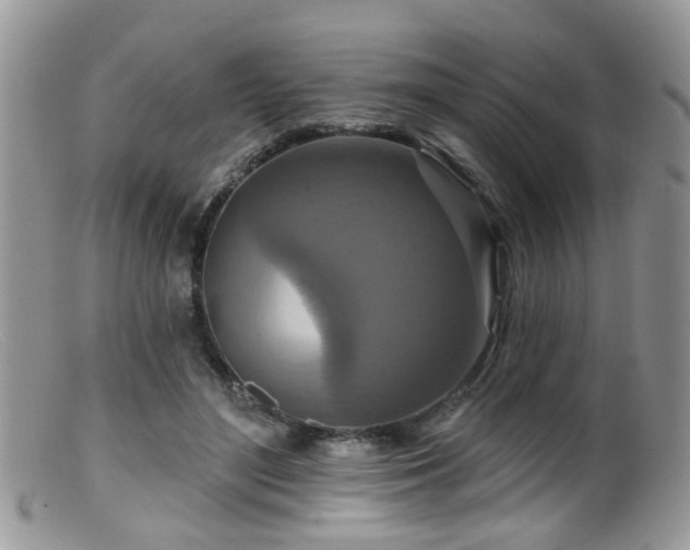 X0000099500500200805151434
