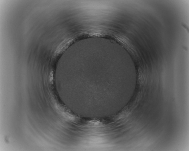 X0000099500502200805151434