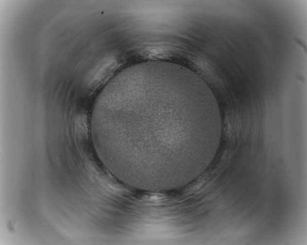 X0000099500506200805151434