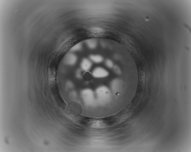 X0000099500507200805151434