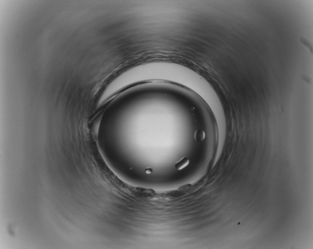 X0000099500508200805151434