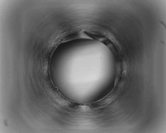 X0000099500509200805151434