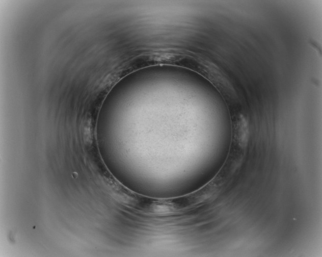 X0000099500510200805151434