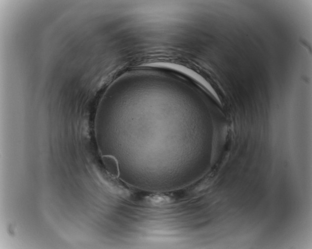 X0000099500512200805151434