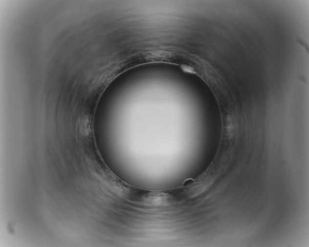 X0000099500514200805151434