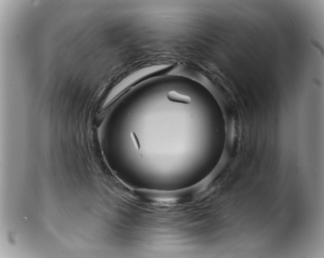 X0000099500516200805151434